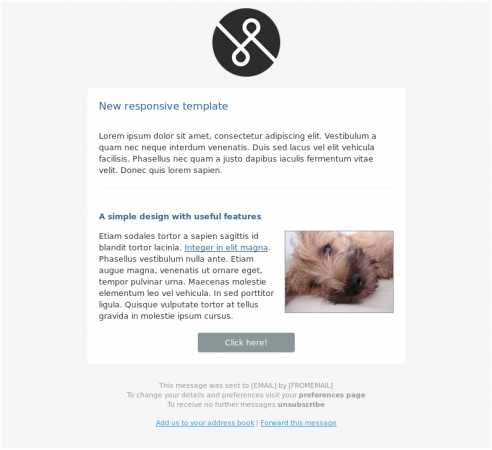 Screenshot of the new simple responsive html email template